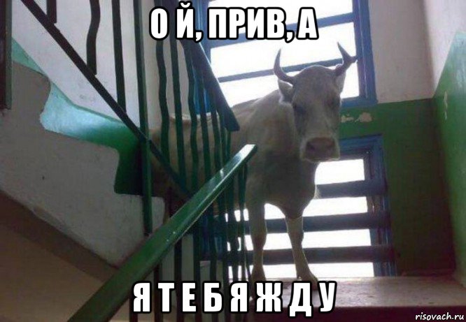 о й, прив, а я т е б я ж д у