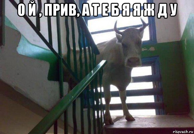 о й , прив, а т е б я я ж д у 