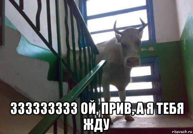  ззззззззз ой, прив, а я тебя жду