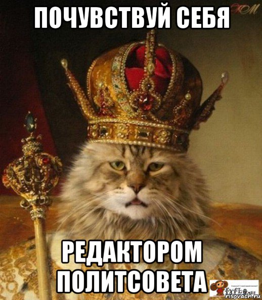 почувствуй себя редактором политсовета