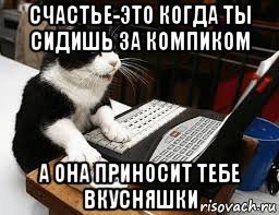 счастье-это когда ты сидишь за компиком а она приносит тебе вкусняшки, Мем Кошка за компьютером