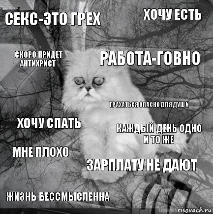 секс-это грех каждый день одно и то же работа-говно жизнь бессмысленна хочу спать хочу есть зарплату не дают скоро придет антихрист мне плохо трахаться опасно для души, Комикс  кот безысходность