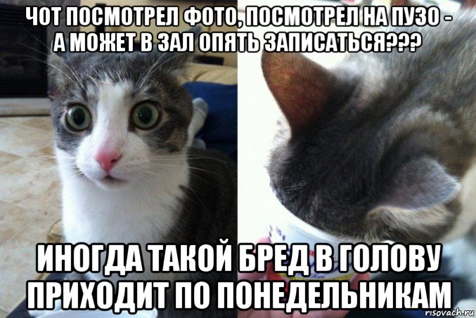 чот посмотрел фото, посмотрел на пузо - а может в зал опять записаться??? иногда такой бред в голову приходит по понедельникам