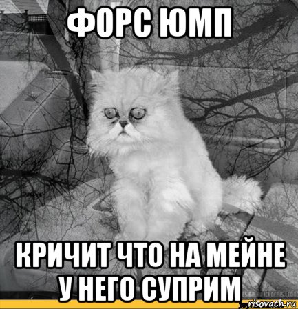 форс юмп кричит что на мейне у него суприм, Мем Кот депрессия