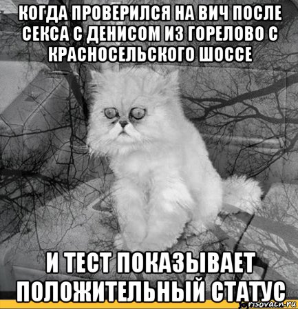когда проверился на вич после секса с денисом из горелово с красносельского шоссе и тест показывает положительный статус, Мем Кот депрессия