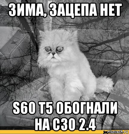 зима, зацепа нет s60 т5 обогнали на с30 2.4, Мем Кот депрессия