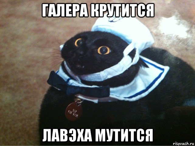галера крутится лавэха мутится, Мем Кот-матрос