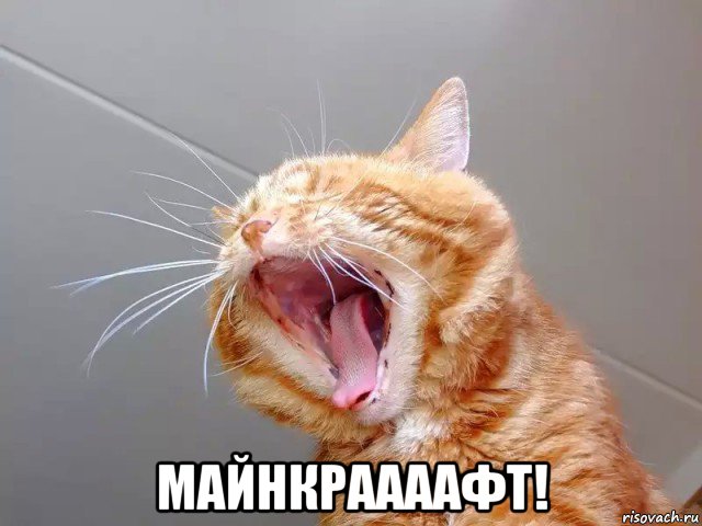  майнкраааафт!