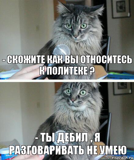 - скожите как вы относитесь к политеке ? - ты дебил , я разговаривать не умею, Комикс  кот с микрофоном