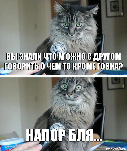 вы знали что м ожно с другом говорить о чем то кроме говна? напор бля..., Комикс  кот с микрофоном