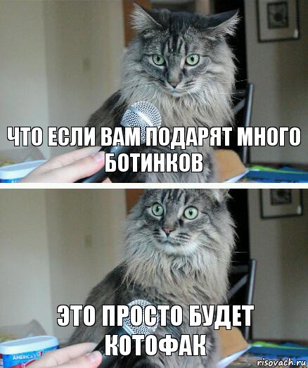 что если вам подарят много ботинков это просто будет котофак, Комикс  кот с микрофоном