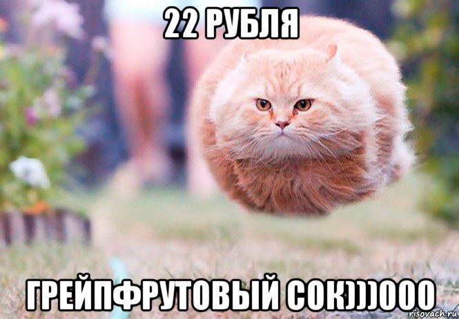 22 рубля грейпфрутовый сок)))000