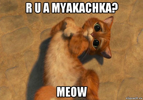 r u a myakachka? meow, Мем кот в сапогах