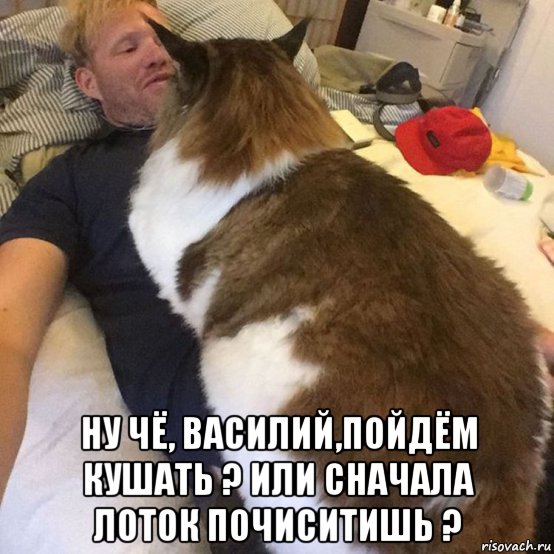 ну чё, василий,пойдём кушать ? или сначала лоток почиситишь ?