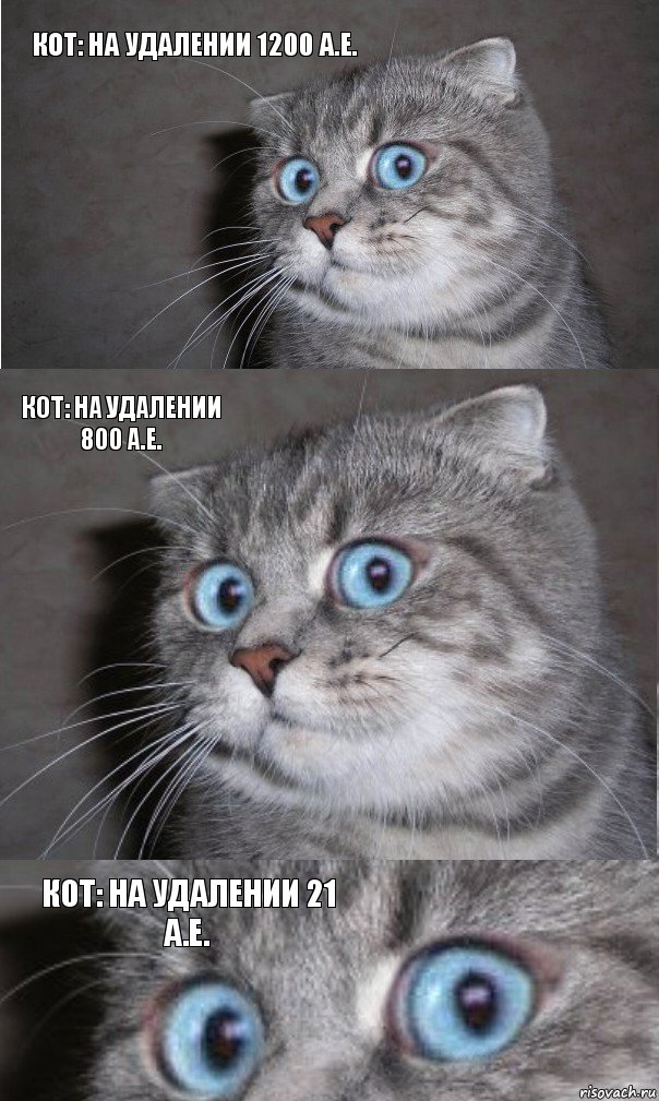 Кот: на удалении 1200 А.Е. Кот: на удалении 800 А.Е. Кот: на удалении 21 А.Е., Комикс  котейка