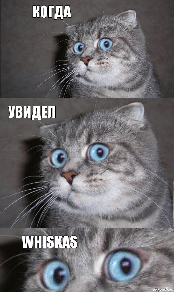 КОГДА УВИДЕЛ WHISKAS, Комикс  котейка