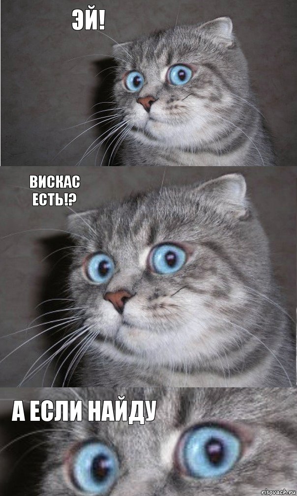 эй! вискас есть!? а если найду, Комикс  котейка