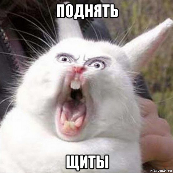 поднять щиты, Мем Кролик орет reversed