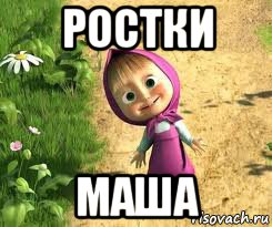 ростки маша, Мем  маша