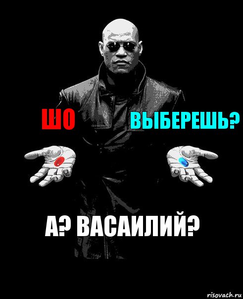 Шо Выберешь? А? васаилий?