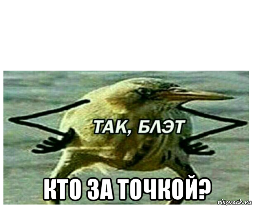  кто за точкой?