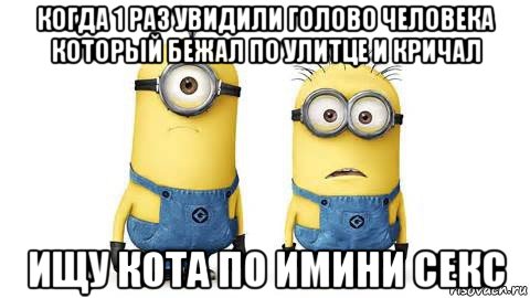 когда 1 раз увидили голово человека который бежал по улитце и кричал ищу кота по имини секс, Мем Миньоны