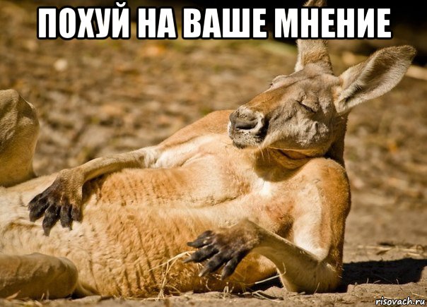 похуй на ваше мнение , Мем МНЕ ПОХУЙ