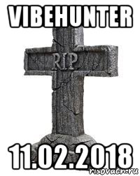 vibehunter 11.02.2018