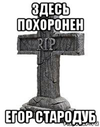 здесь похоронен егор стародуб