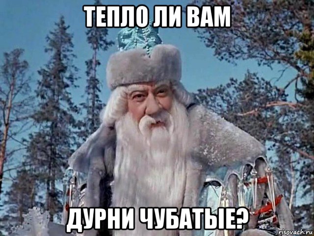 тепло ли вам дурни чубатые?
