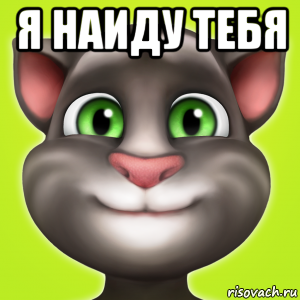 я наиду тебя , Мем Мой говорящий том оригинал мини