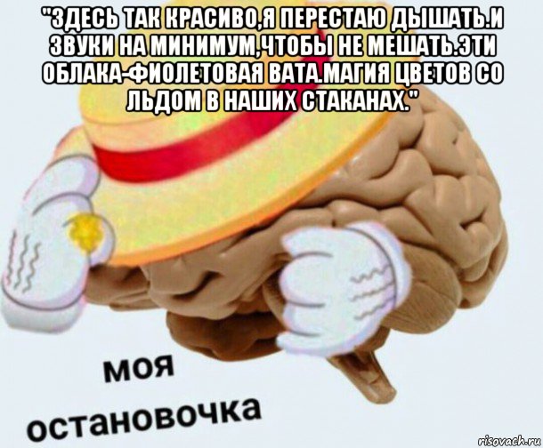 "здесь так красиво,я перестаю дышать.и звуки на минимум,чтобы не мешать.эти облака-фиолетовая вата.магия цветов со льдом в наших стаканах." , Мем   Моя остановочка мозг