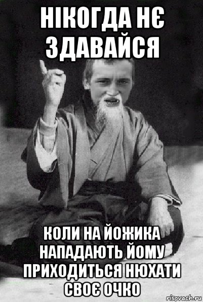 нікогда нє здавайся коли на йожика нападають йому приходиться нюхати своє очко, Мем Мудрий паца