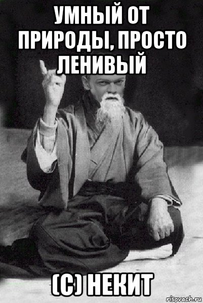 умный от природы, просто ленивый (с) некит