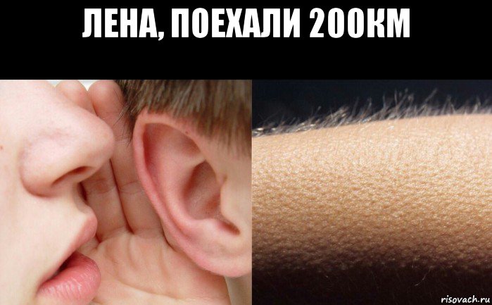 лена, поехали 200км 