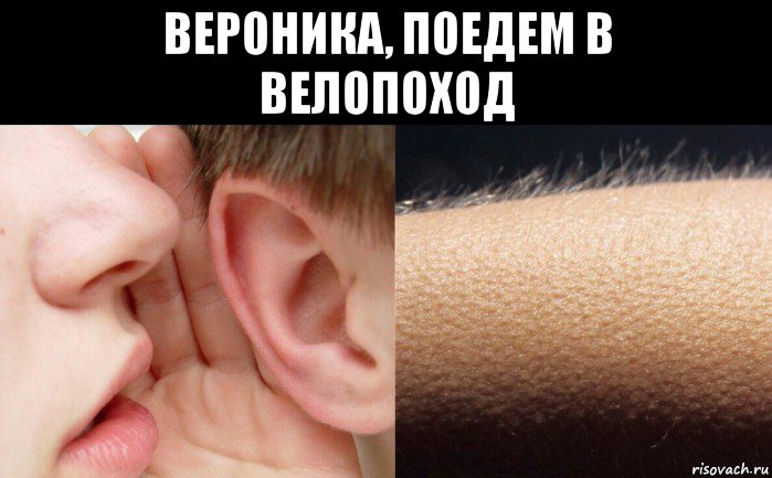 вероника, поедем в велопоход 