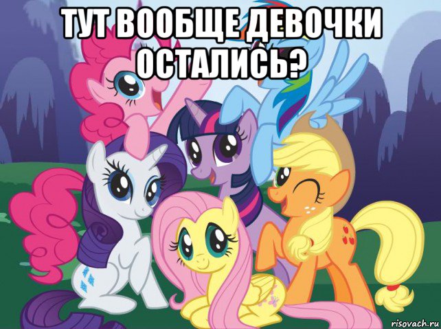 тут вообще девочки остались? , Мем My little pony