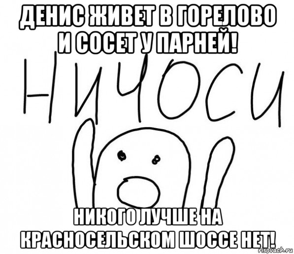 денис живет в горелово и сосет у парней! никого лучше на красносельском шоссе нет!, Мем  Ничоси