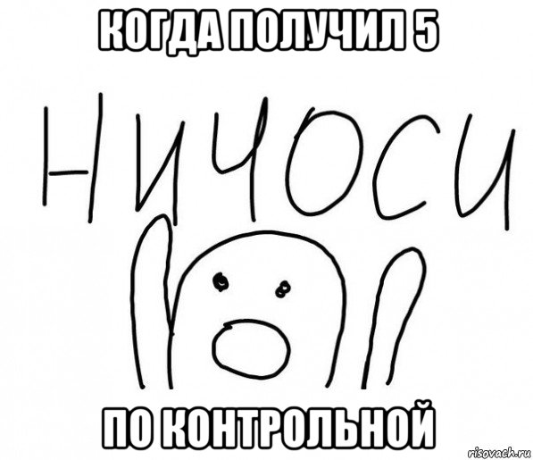 когда получил 5 по контрольной, Мем  Ничоси