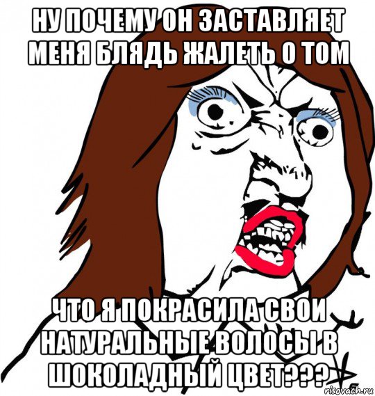 ну почему он заставляет меня блядь жалеть о том что я покрасила свои натуральные волосы в шоколадный цвет???, Мем Ну почему (девушка)