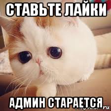 ставьте лайки админ старается