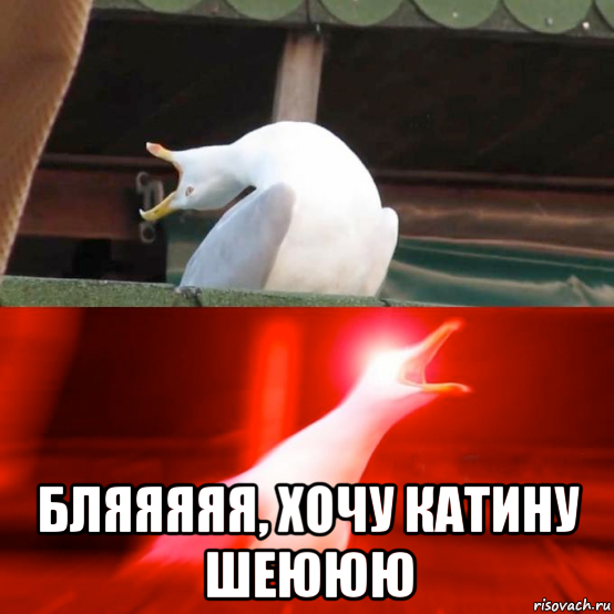  бляяяяя, хочу катину шеююю