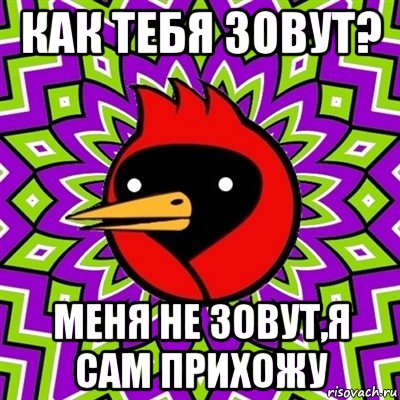 как тебя зовут? меня не зовут,я сам прихожу, Мем Омская птица