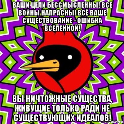 ваши цели бессмысленны! все войны напрасны! всё ваше существование - ошибка вселенной! вы ничтожные существа, живущие только ради не существующих идеалов!, Мем Омская птица