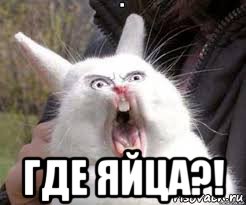  где яйца?!, Мем Орущий кролик
