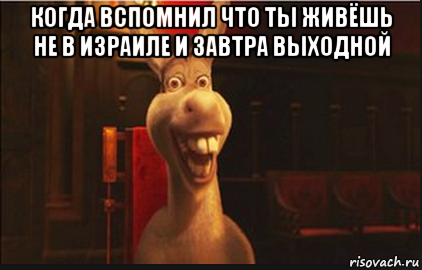 когда вспомнил что ты живёшь не в израиле и завтра выходной , Мем Осел из Шрека