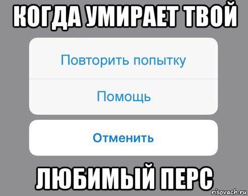 когда умирает твой любимый перс, Мем Отменить Помощь Повторить попытку