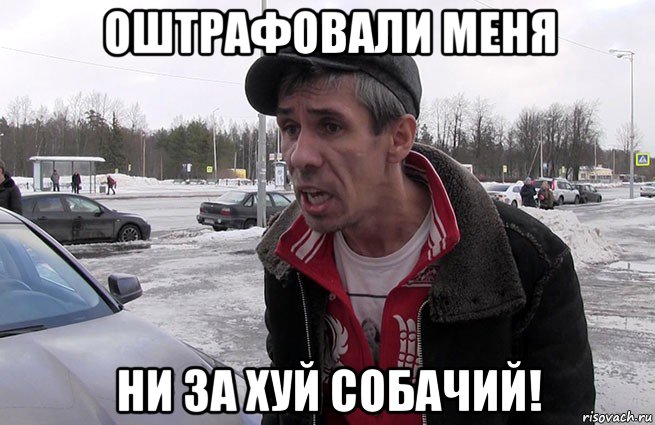 оштрафовали меня ни за хуй собачий!, Мем Панин
