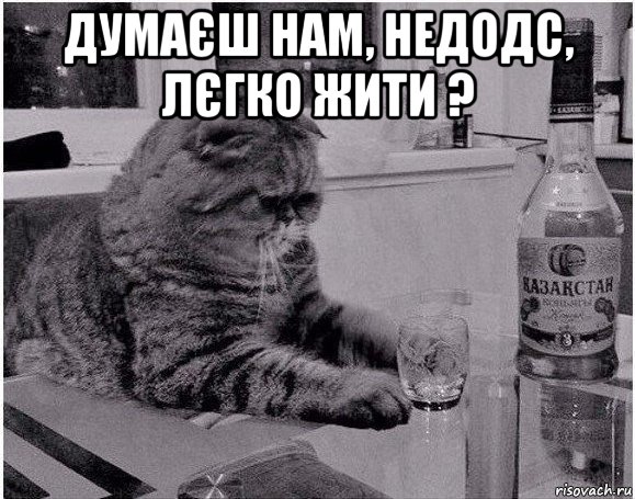 думаєш нам, недодс, лєгко жити ? 