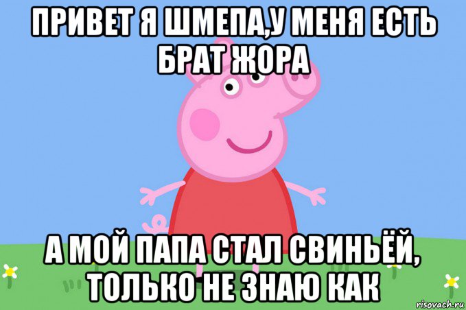 привет я шмепа,у меня есть брат жора а мой папа стал свиньёй, только не знаю как, Мем Пеппа